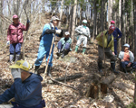 力合わせて山の手入れ